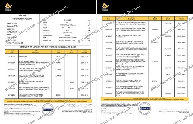 UAE Liv. Digital Bank statement of account Word and PDF template, 2 pages